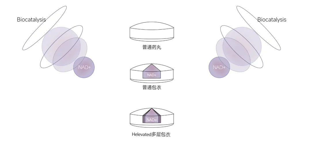重磅捷报！Helevated 简悦长青，科学抗衰实力获权威认证(图4)