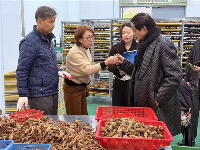 深耕中韩健康产业，赋能经贸文化交融：韩国正药堂黑参新品品鉴会9月11日启幕(图2)